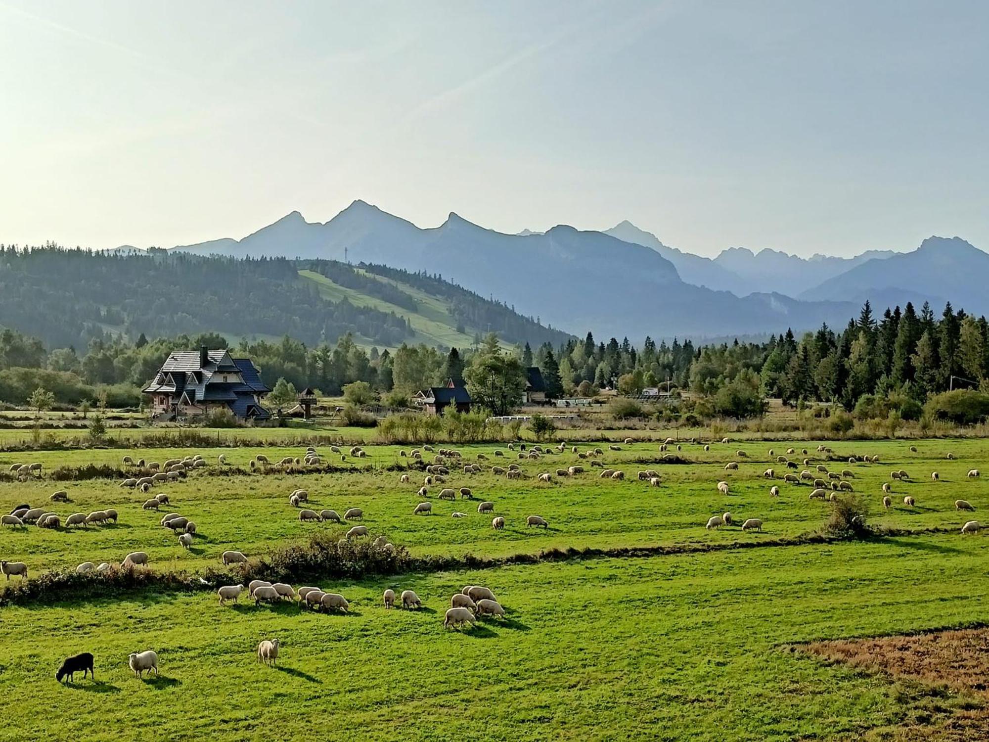 Domek Z Goralska Dusza Sleboda Jurgów Exterior foto
